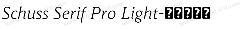 Schuss Serif Pro Light字体转换